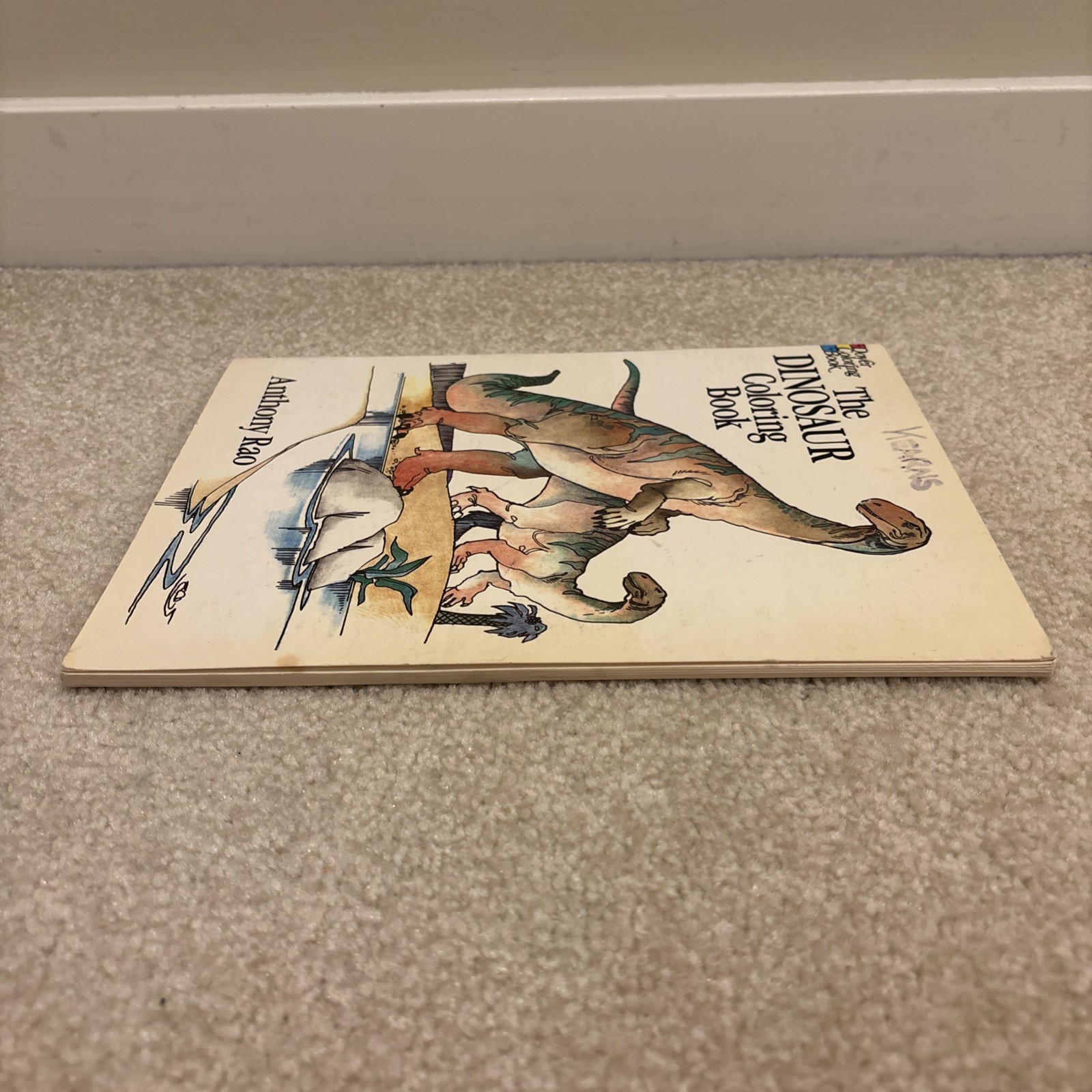 The Dinosaur Dover Coloring Book Paperback Anthony Rao Vintage 1980