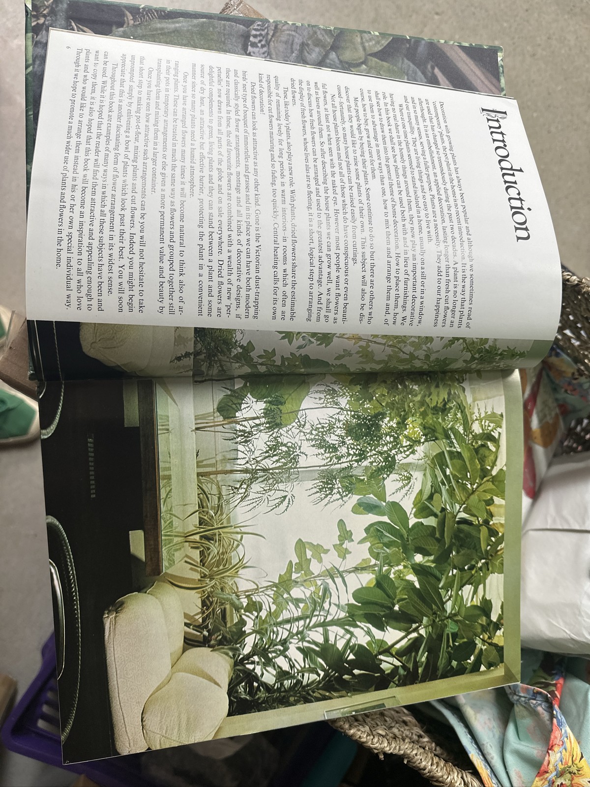 World Encyclopedia Of Indoor Plants & Flowers Joanna Kelly 1977 HC