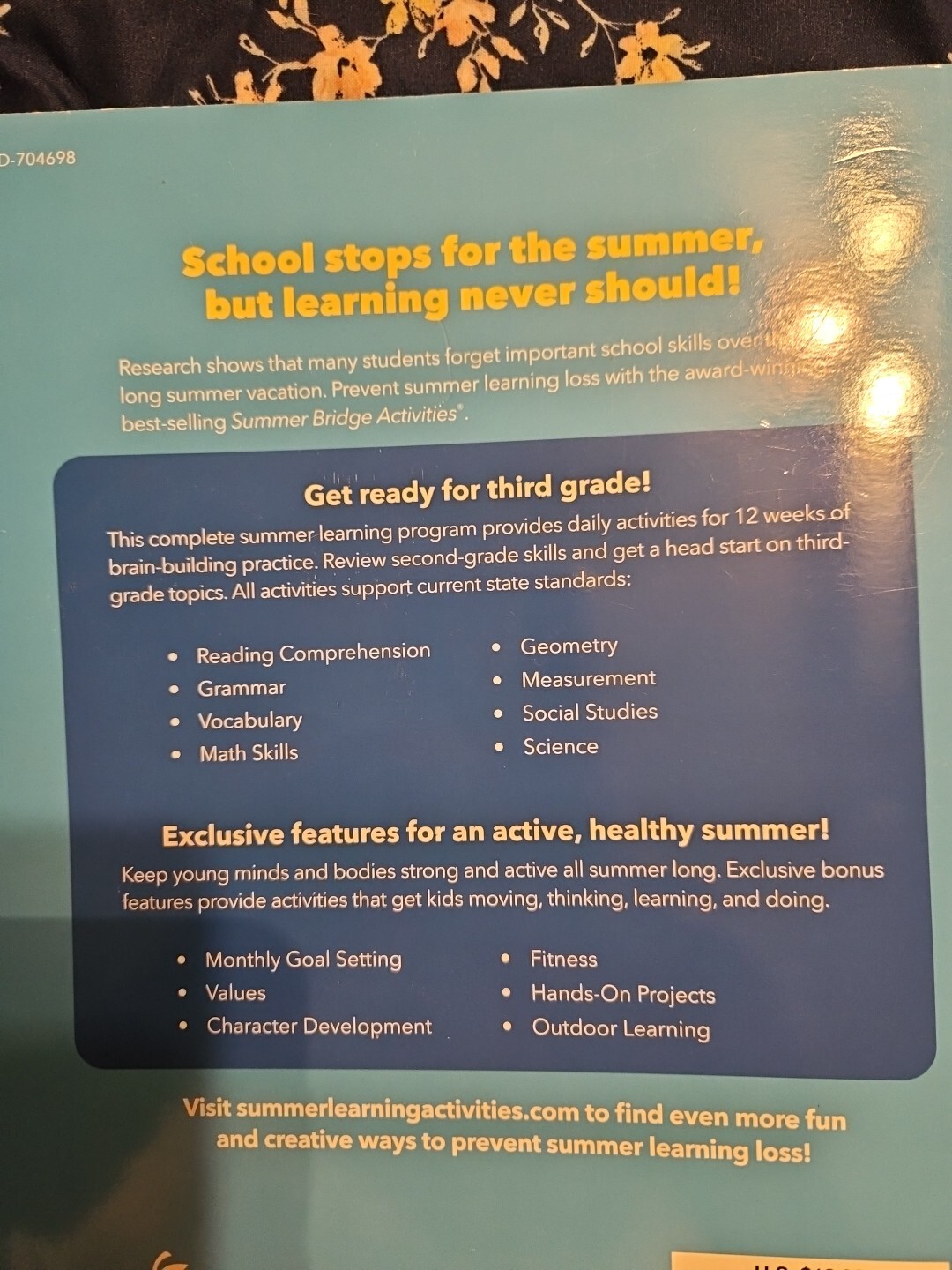 Summer Bridge Activities Workbook Grade 2-3 (160 pages) new