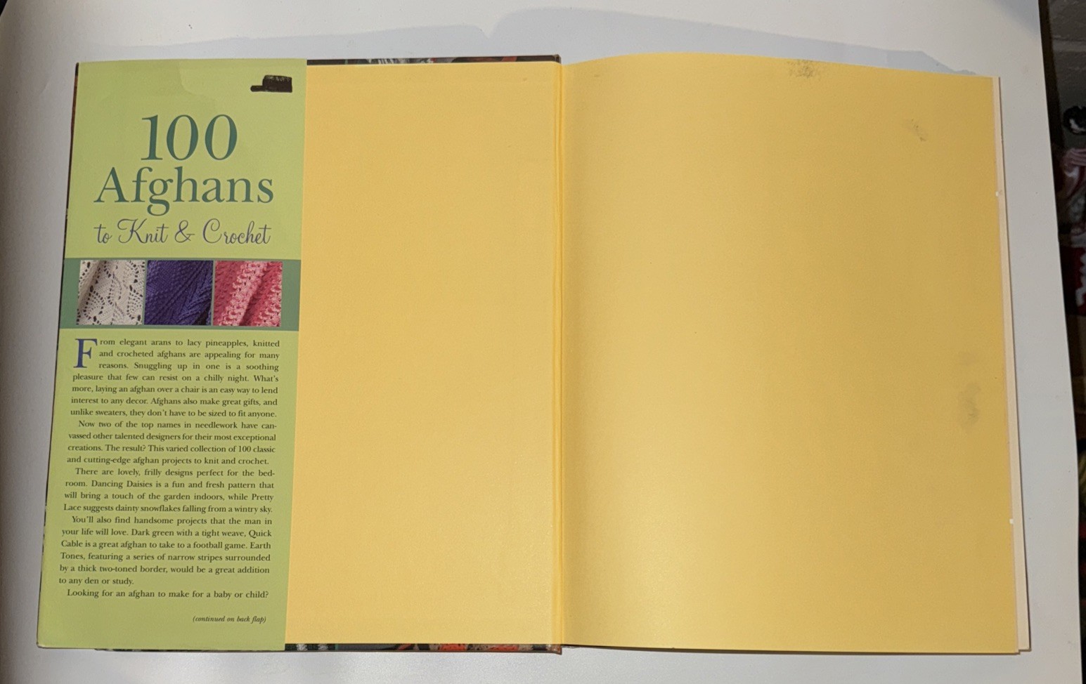 100 Afghans to Knit and Crochet Book by Jean Leinhauser and Rita Weiss 2005 Hard