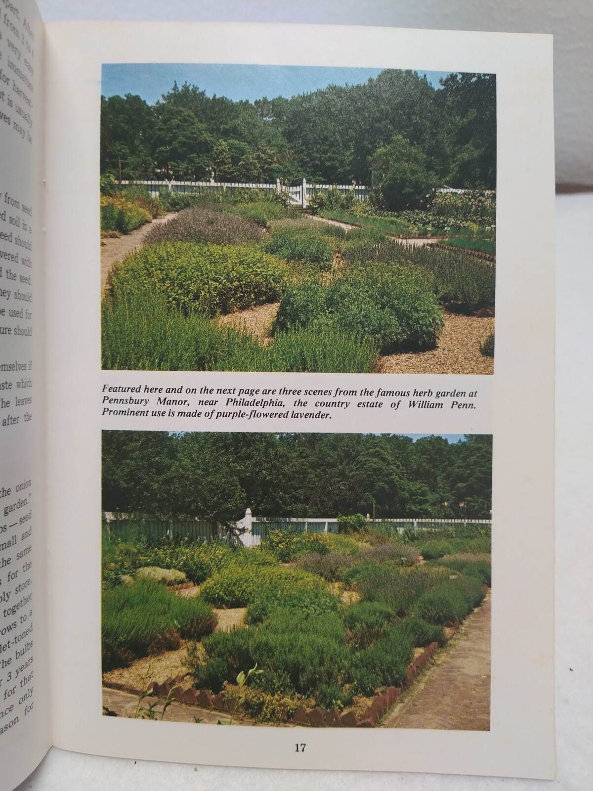 Herb Gardening Countryside Books 1976 Booklet