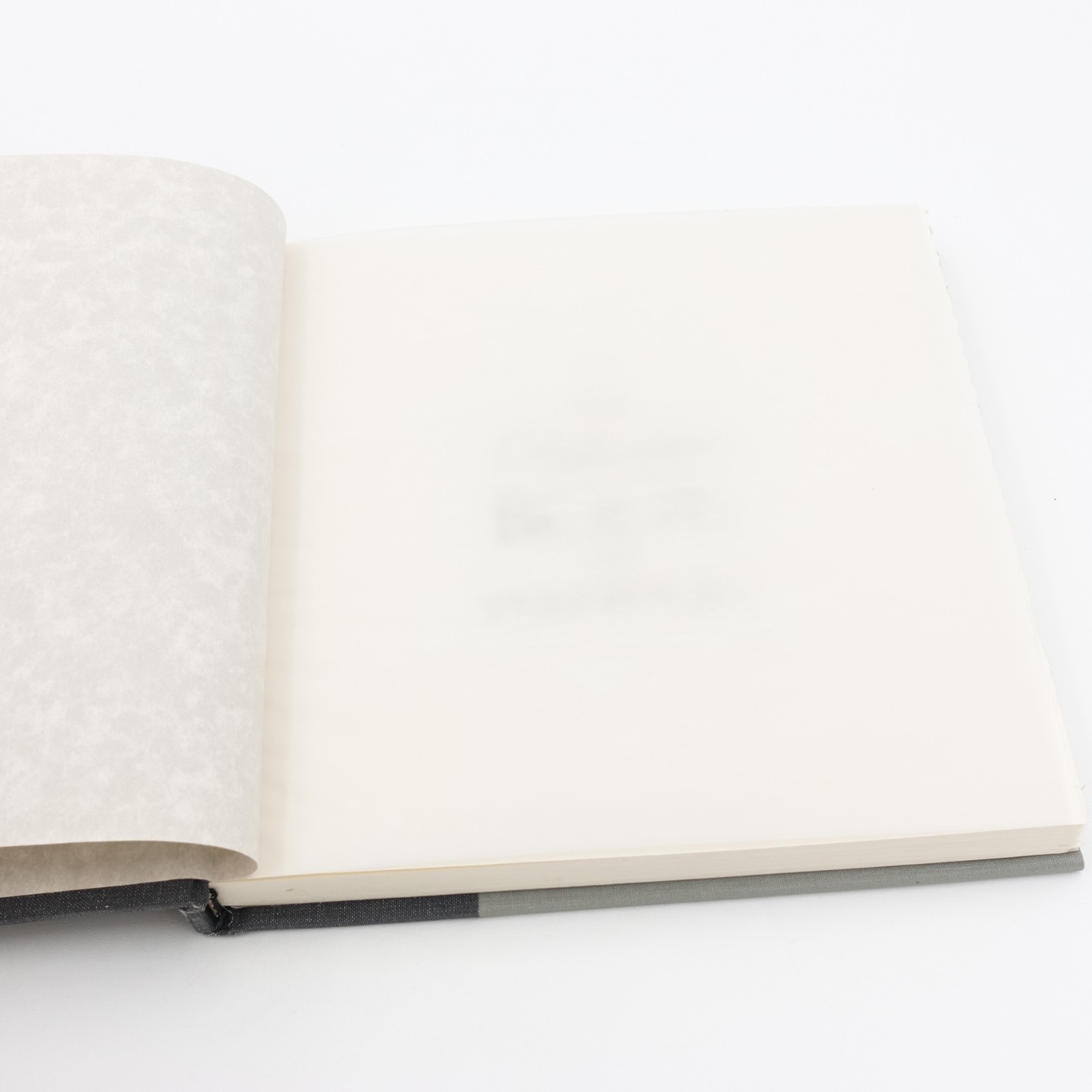 The Definitive Book on Yearbooks Hardcover Balfour Yearbooks 140 pages