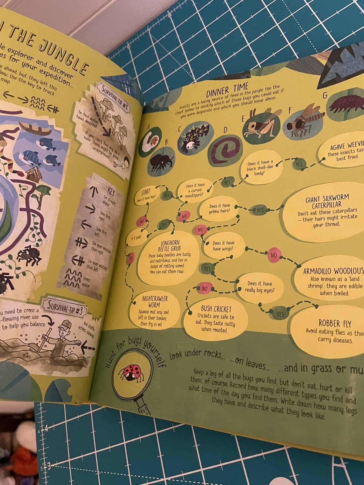 Never Get Bored Book IR by Lara Bryan and James & Hull Maclaine (2019,…