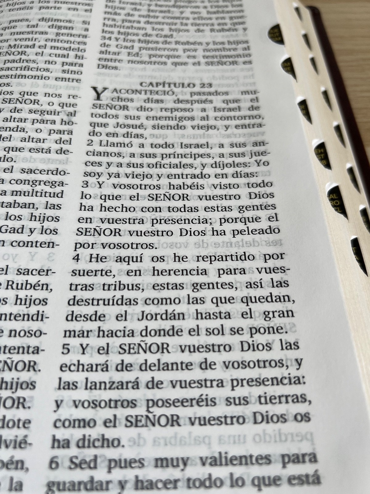 Valera 1602 Purificada Santa Biblia, 14-pt font (9.5 x 7 x 1.5) – Burgundy