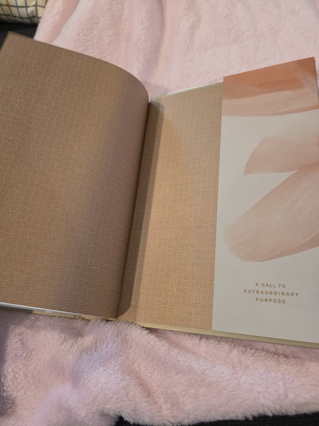 NLT Every Woman’s Bible Filament Enabled HCDJ Red Letter Edition Tyndale EUC