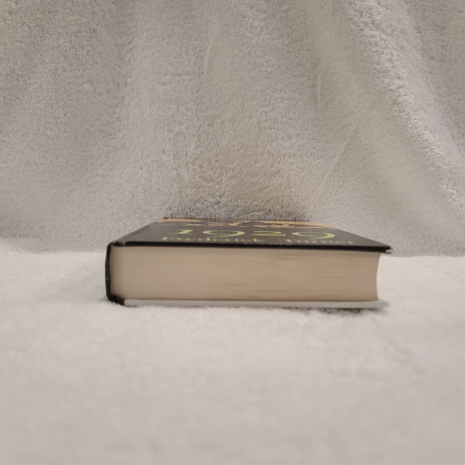 1929 : A Novel of the Jazz Age *** Large Print*** Hardcover Frederick Turner