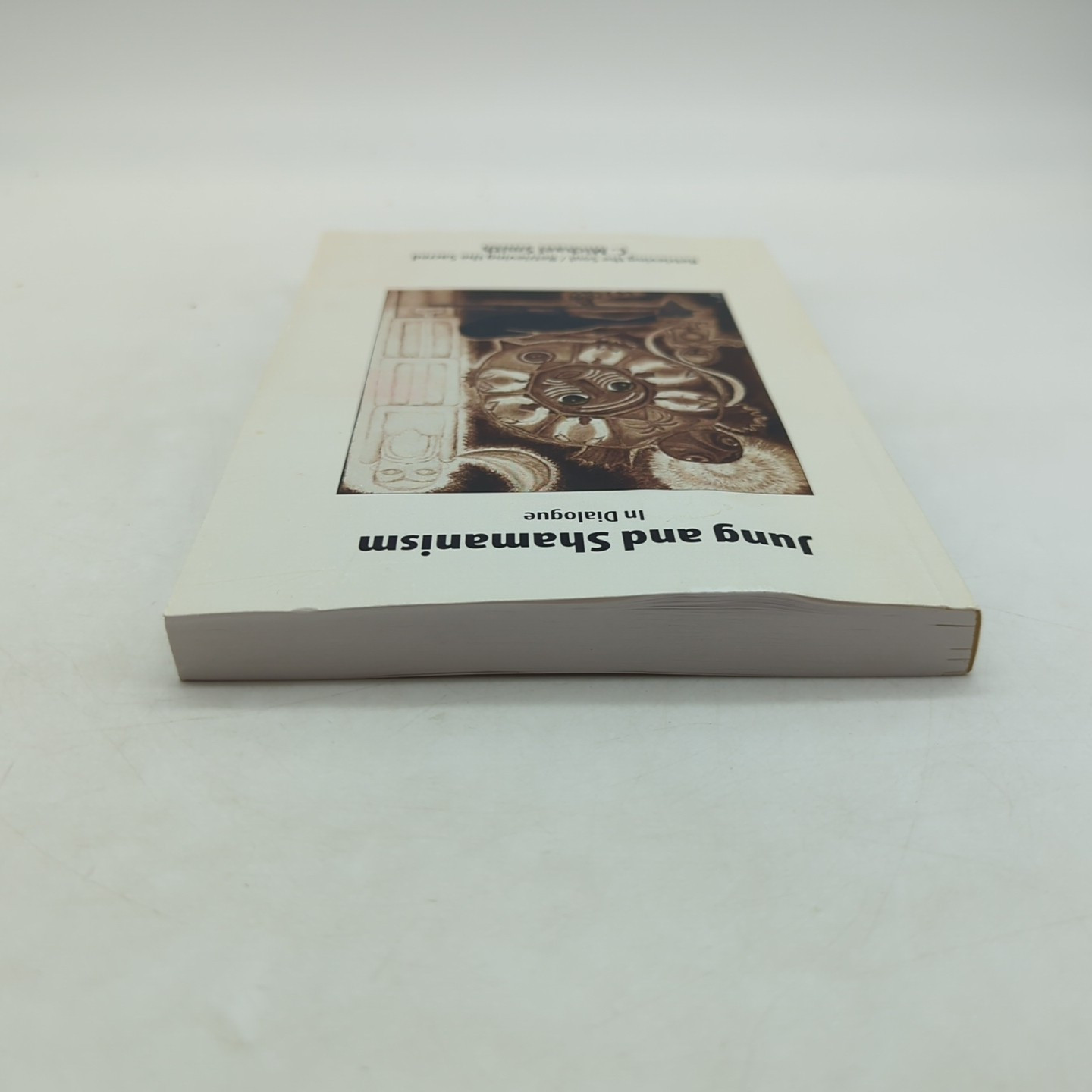 Jung and Shamanism in Dialogue by C Michael Smith PB 2007 Damaged