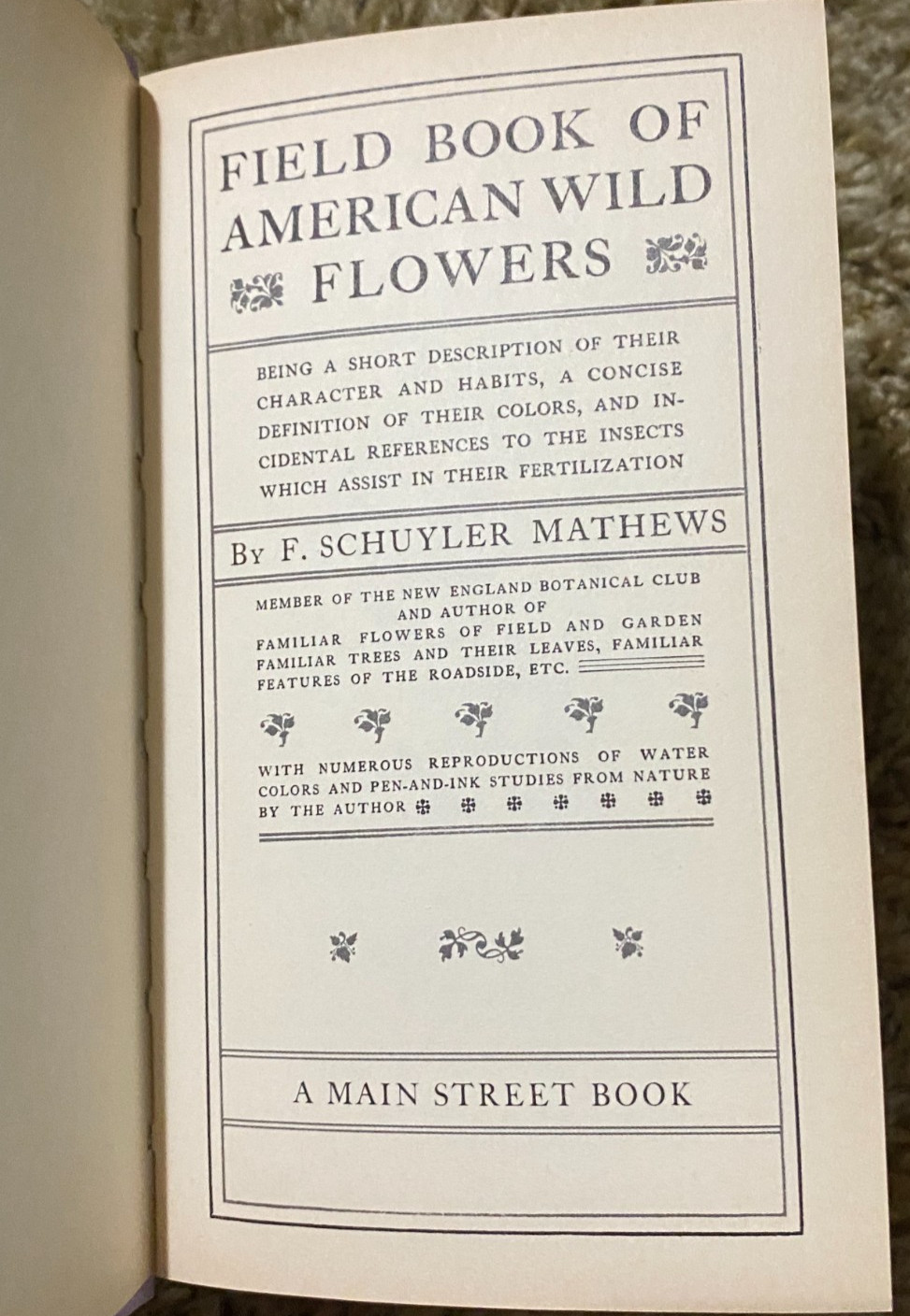 FIELDBOOK OF AMERICAN WILDFLOWERS HARDCOVER F SCHUYLER MATHEWS 2001 FACSIMILE ED