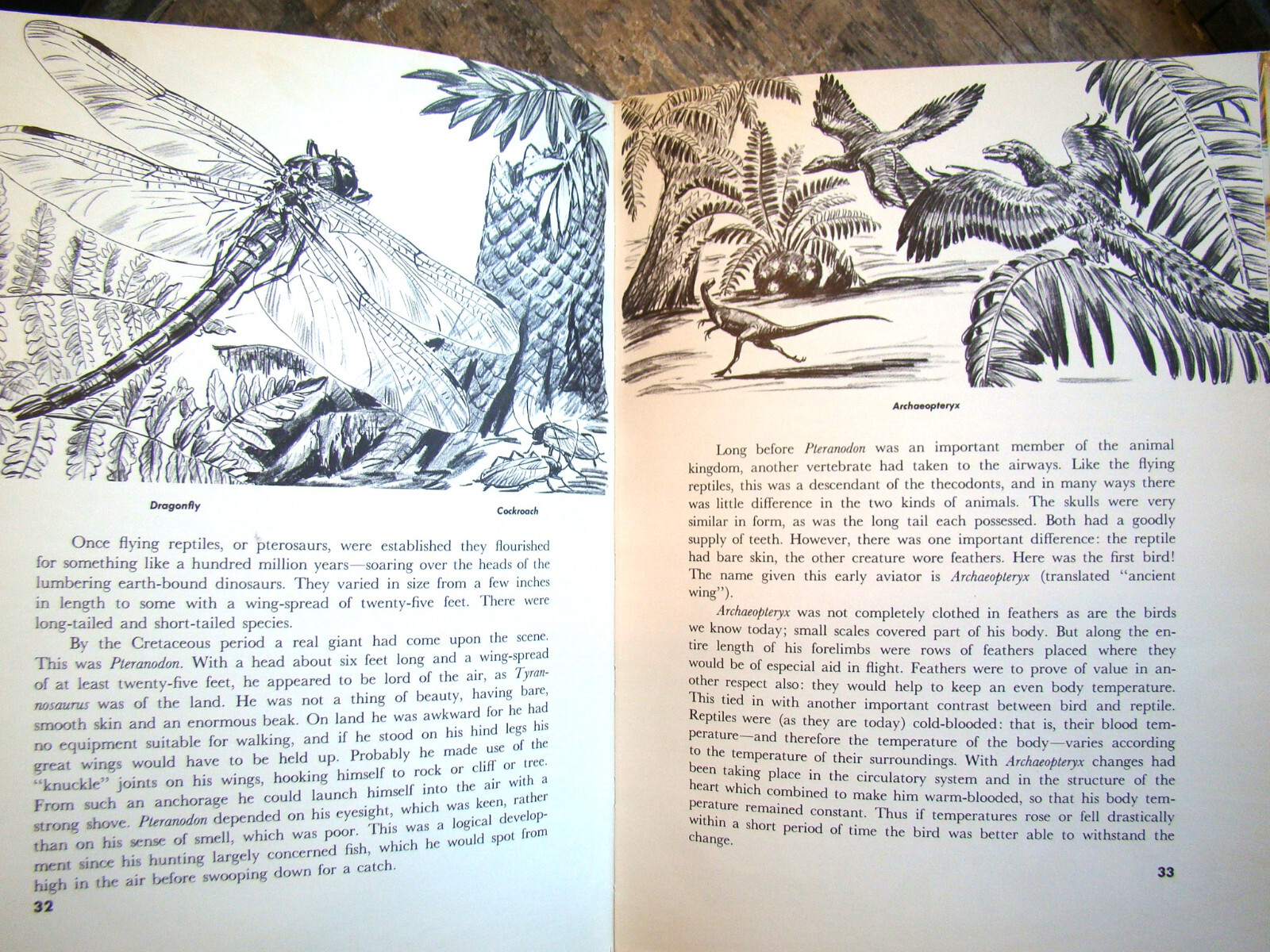 The Age Of Reptiles ~1958 HC~ Shuttlesworth Children’s Prehistoric Dinosaurs 🦖