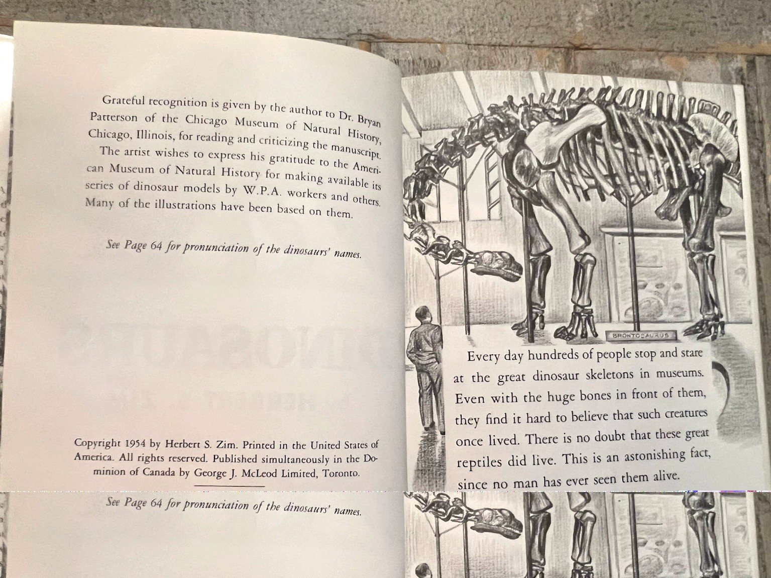 Dinosaurs by Herbert S. Zim Illus. by James Gordon Irving c.1976 Library Edition