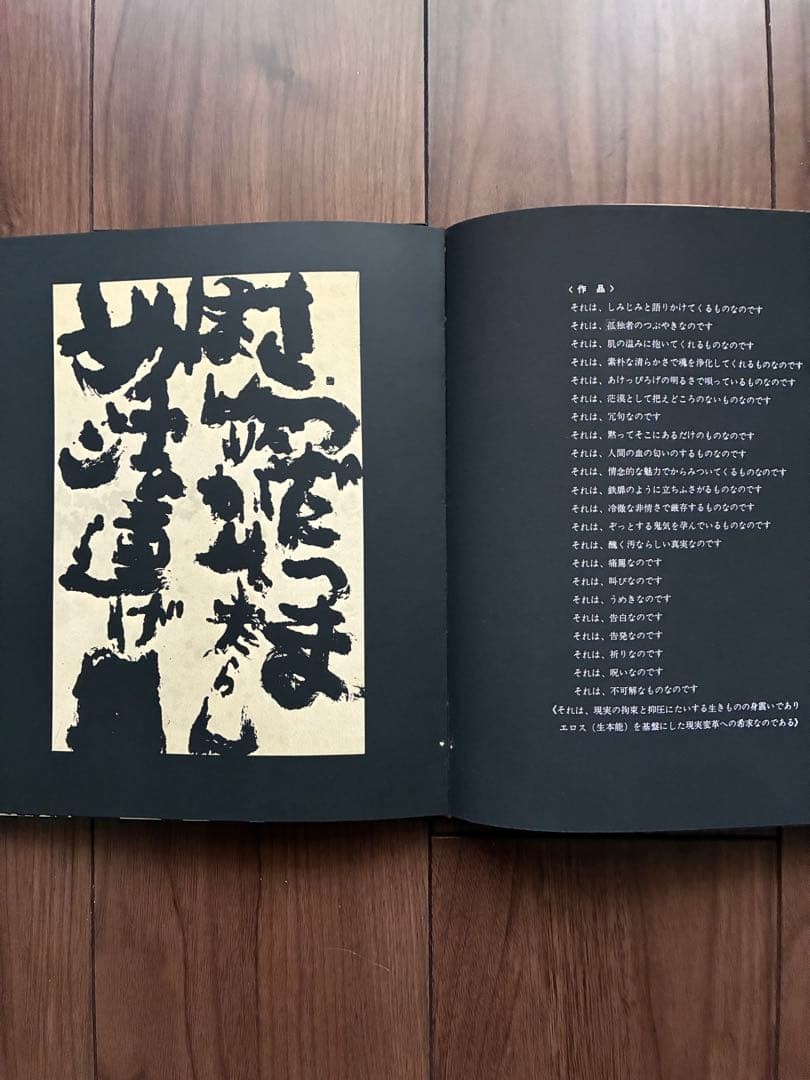 Roko Arai Works Collection Limited 300 Art Book calligraphy 24.5x21cm