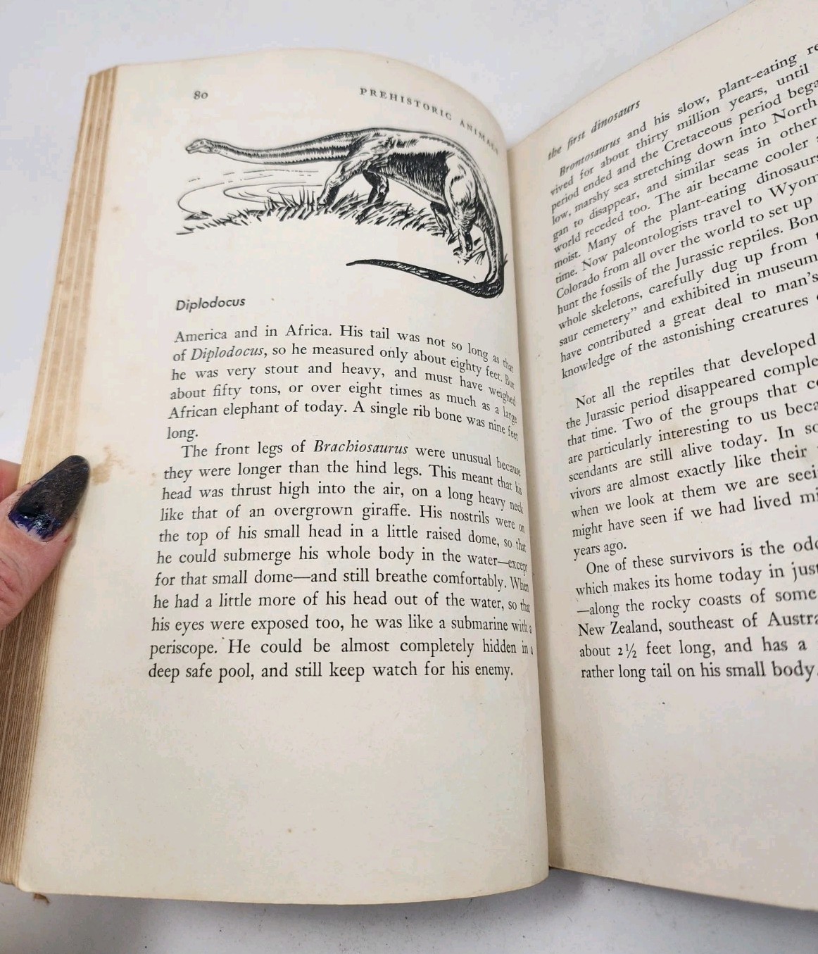 Vtg Prehistoric Animals Sam and Beryl Epstein 1956 1st Print Mylar HCDJ