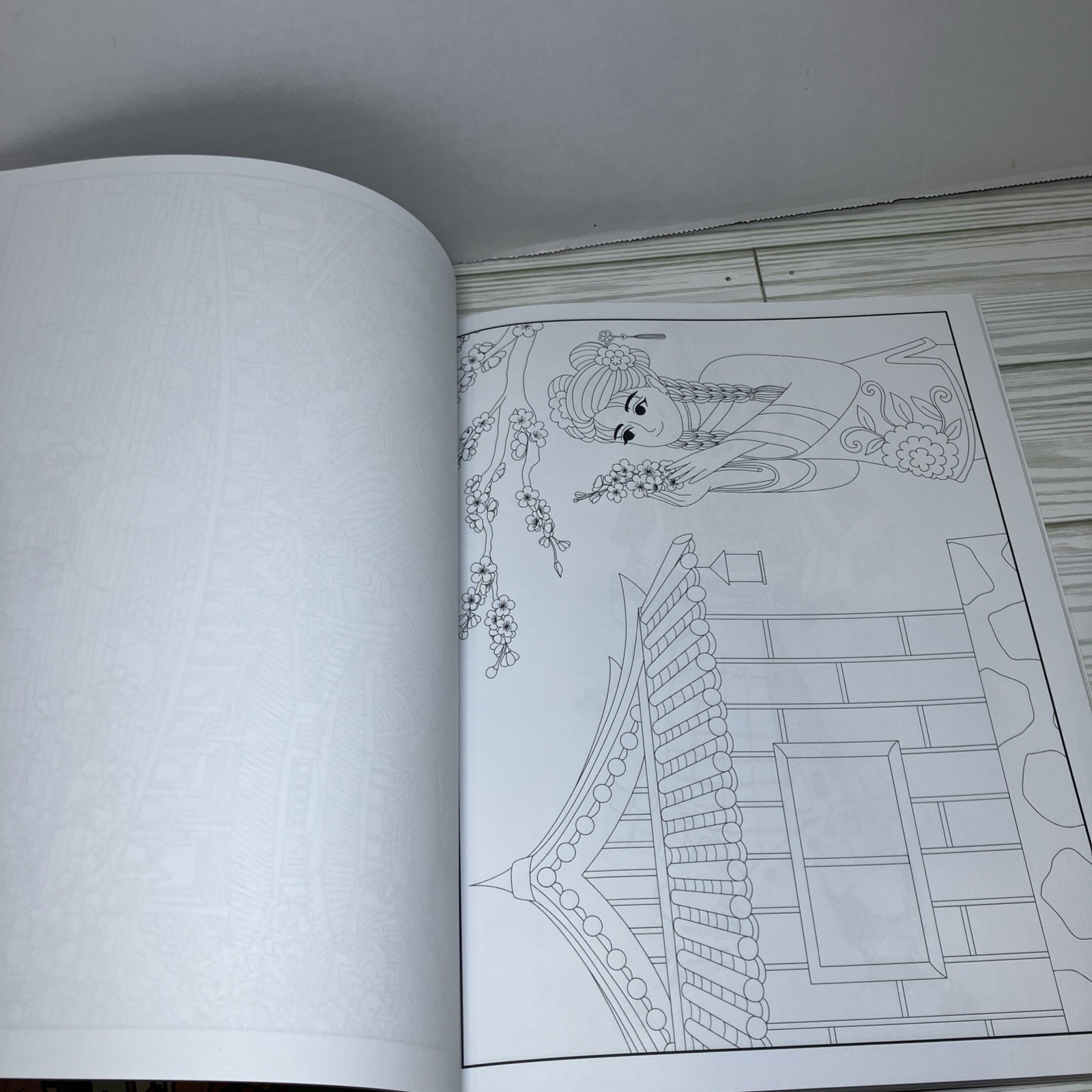 China Coloring Book: An Adult Coloring Book of Chinese (Paperback) Dylanna Press