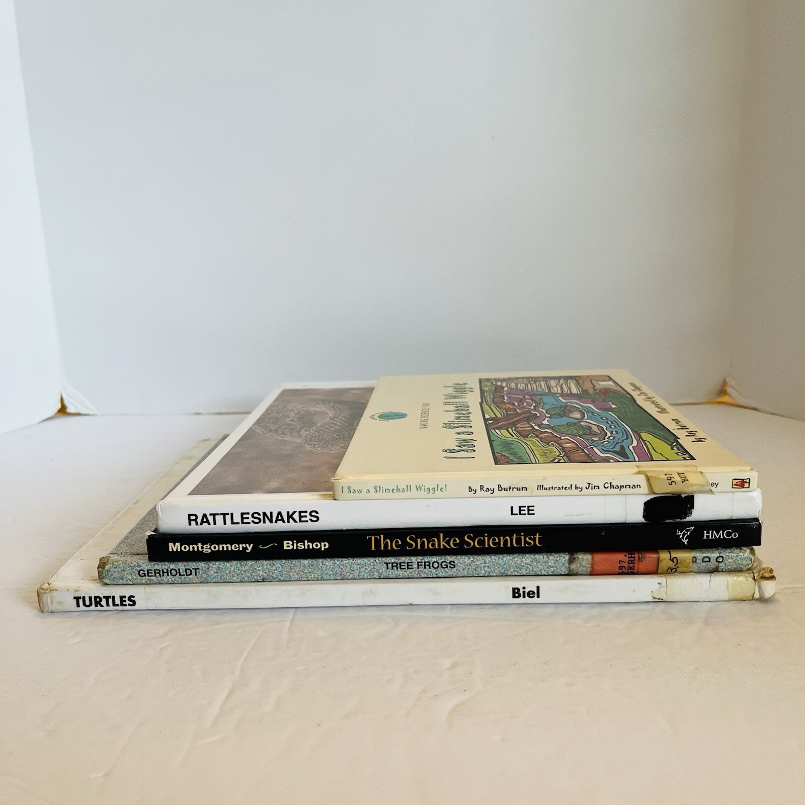 Lot 5 Reptile Amphibian Science Books Snake Turtle STEM Classroom Library