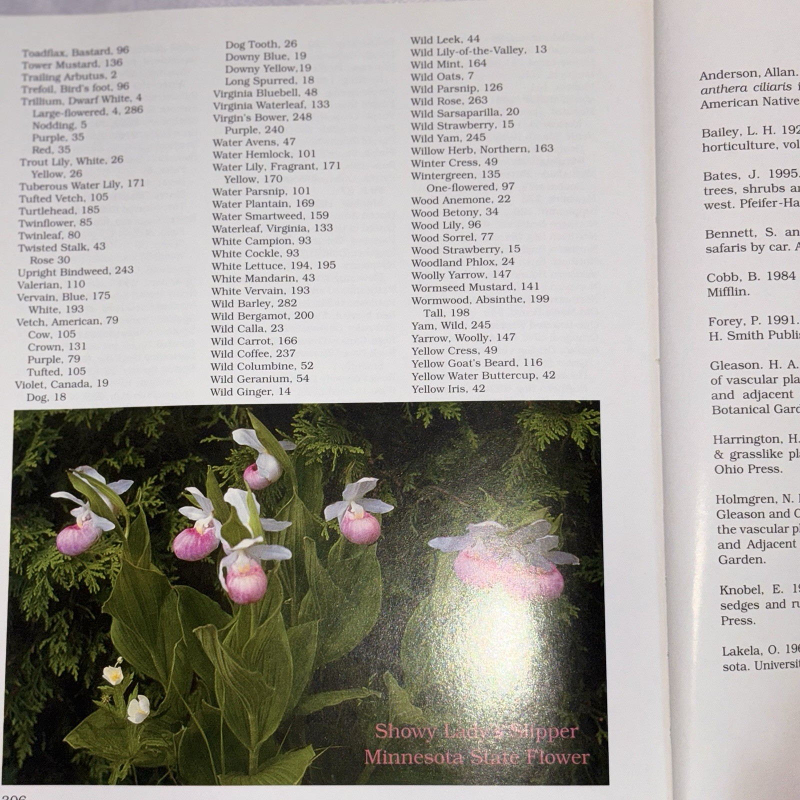 What’s Doin’ the Bloom? Revised Illustrated Wildflowers Guide PB 2002