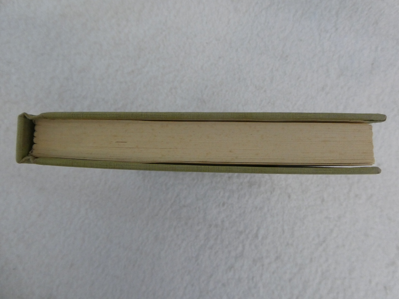 Beth Day LITTLE PROFESSOR OF PINEY WOODS 1955 HC/DJ 1st