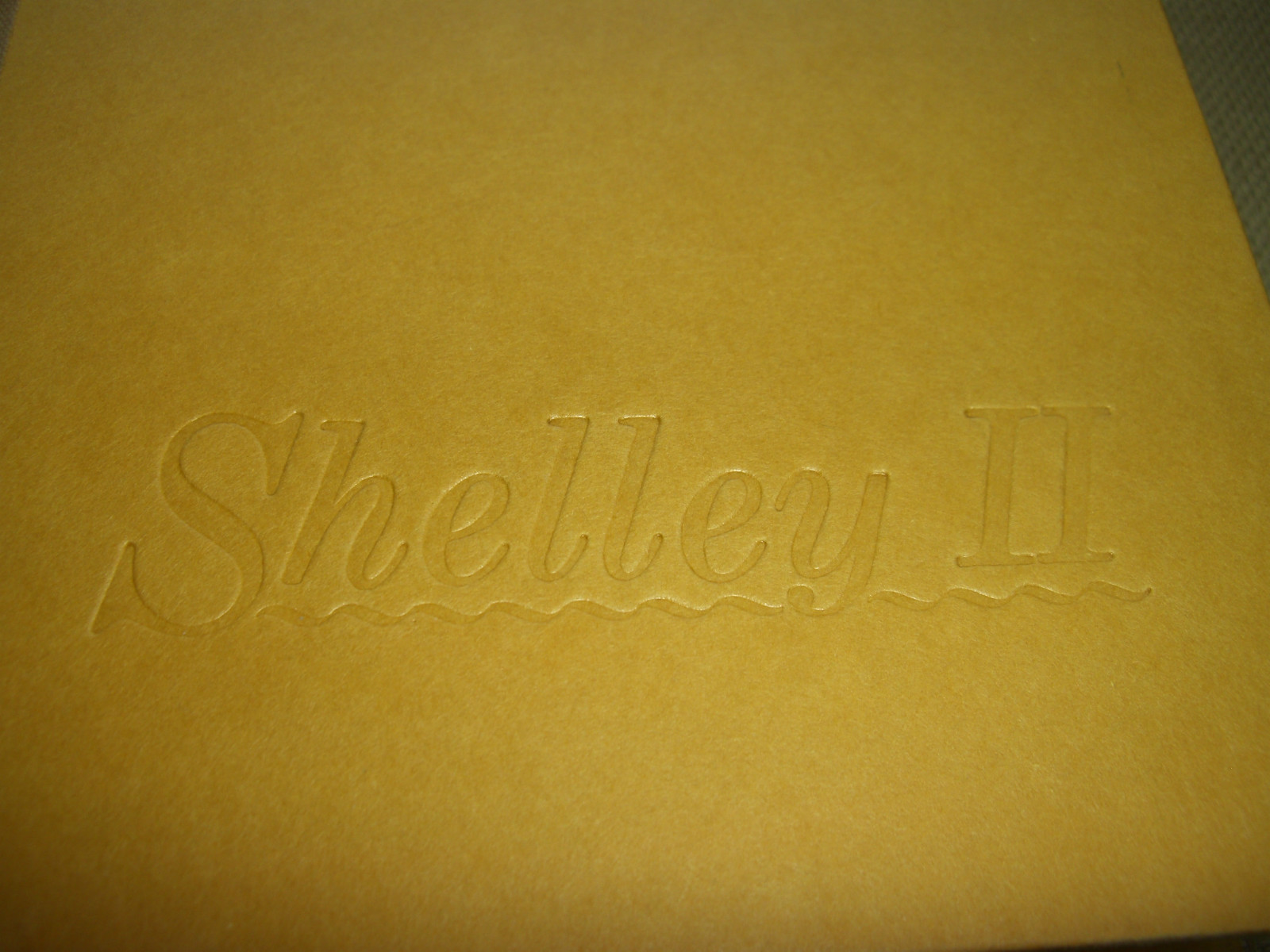 Shelley II The Middle of my Century Shelley Winters 1st edition HBDJ 1989