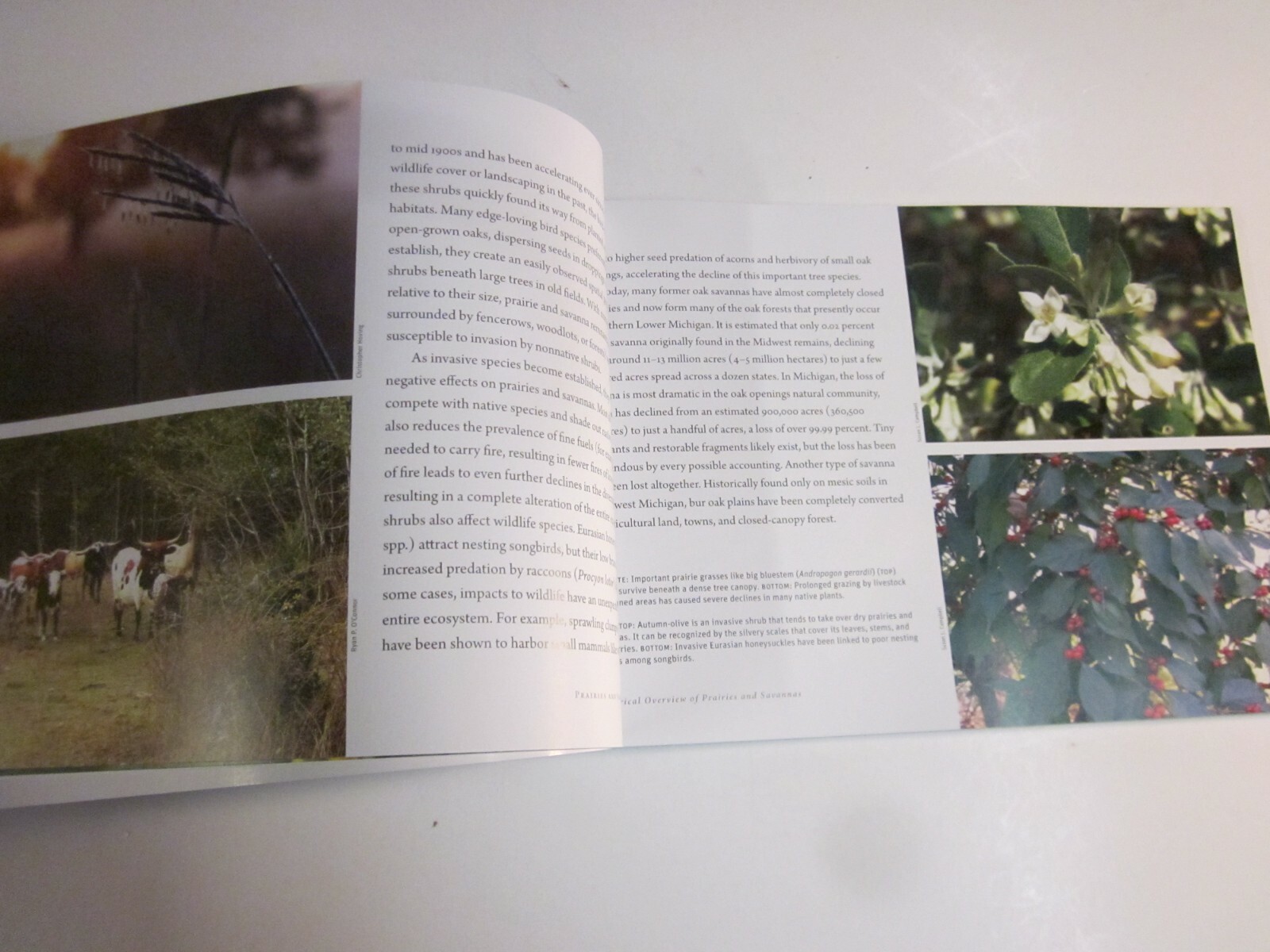 Prairies and Savannas in Michigan : Rediscovering Our Natural Heritage 2009