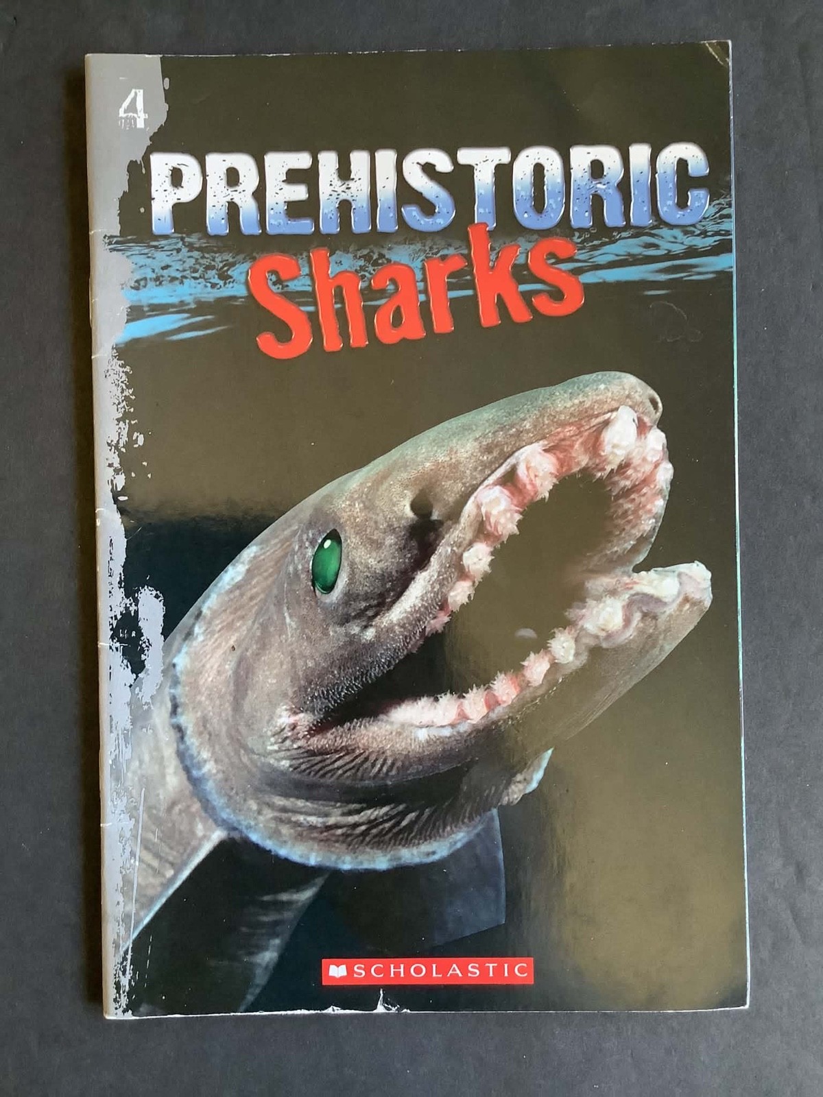 Set of 5 PERFECT HUNTER, SHARK JOURNEYS Books 2 through 6 – For those littles!
