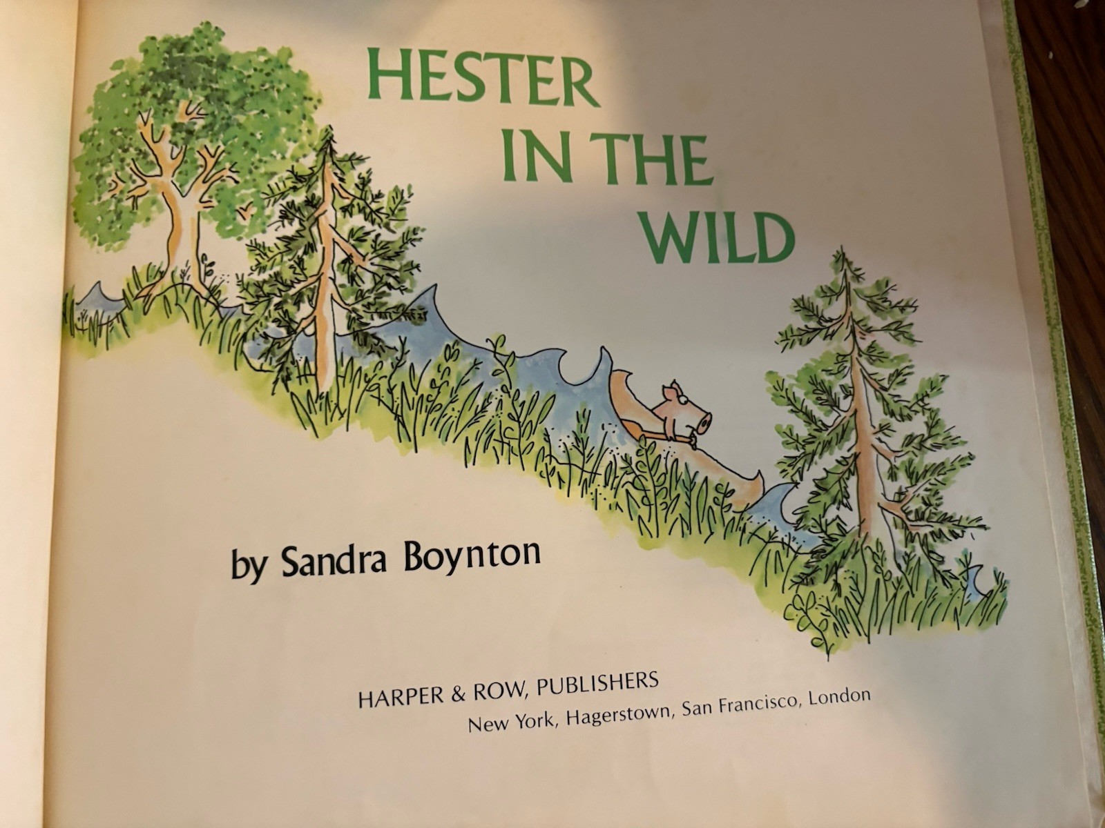 Hester in the Wild Sandra Boynton 1979 Hardcover Harper Row 1st Edition Vtg