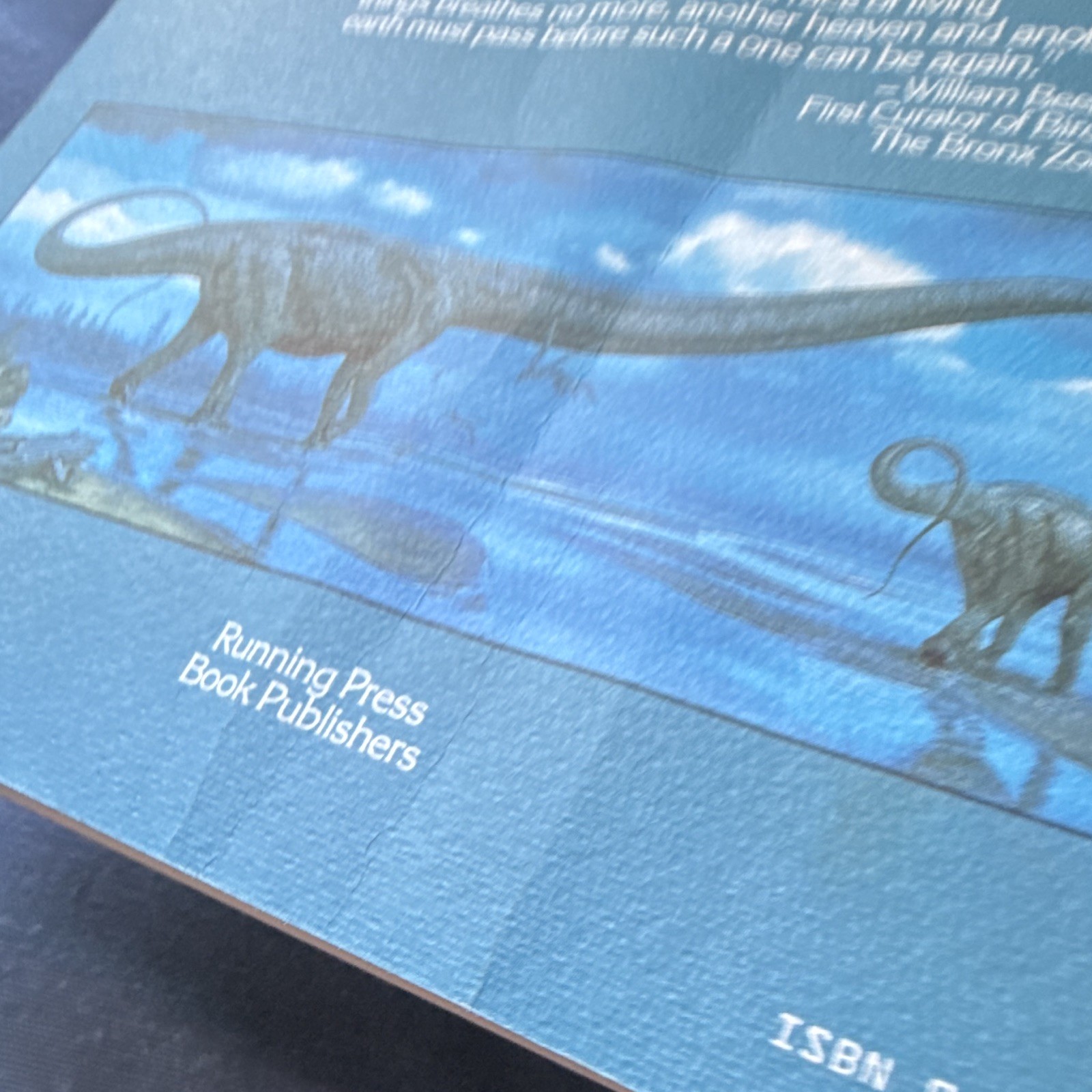 The Dinosaurs Postcard Book Framable Art Prints 1987 Toby Schmid Illus Hallett