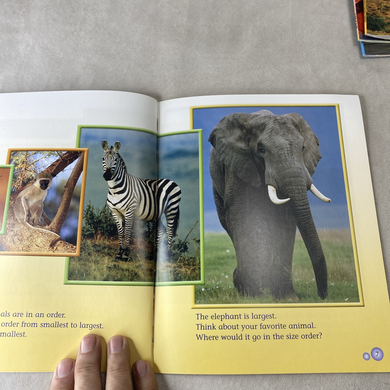 9 Assorted Steck-Vaughn Shutterbug Books: Leveled Reader Grades K – 1 Science