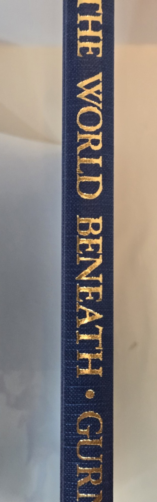 Dinotopia: The World Beneath 1st Edition/Printing Hardcover James Gurney 1995