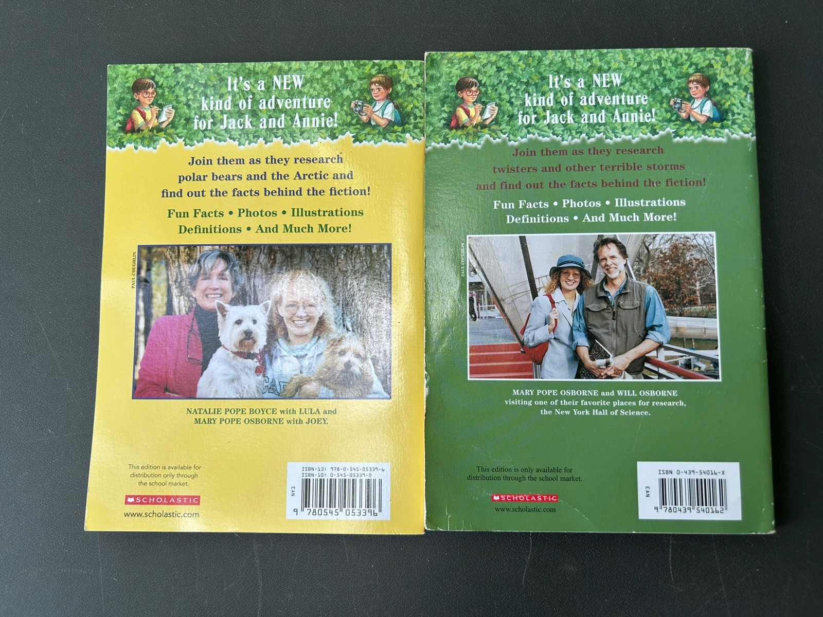 Lot Of 26 Magic Treehouse books by Mary Pope Osborne & Natalie Pope Boyce