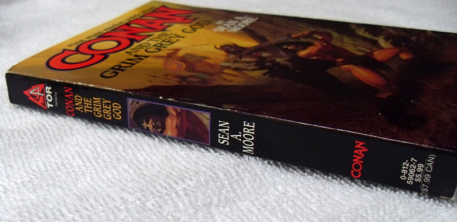 Conan and the Grim Grey God by Sean A Moore Paperback 1997 TOR