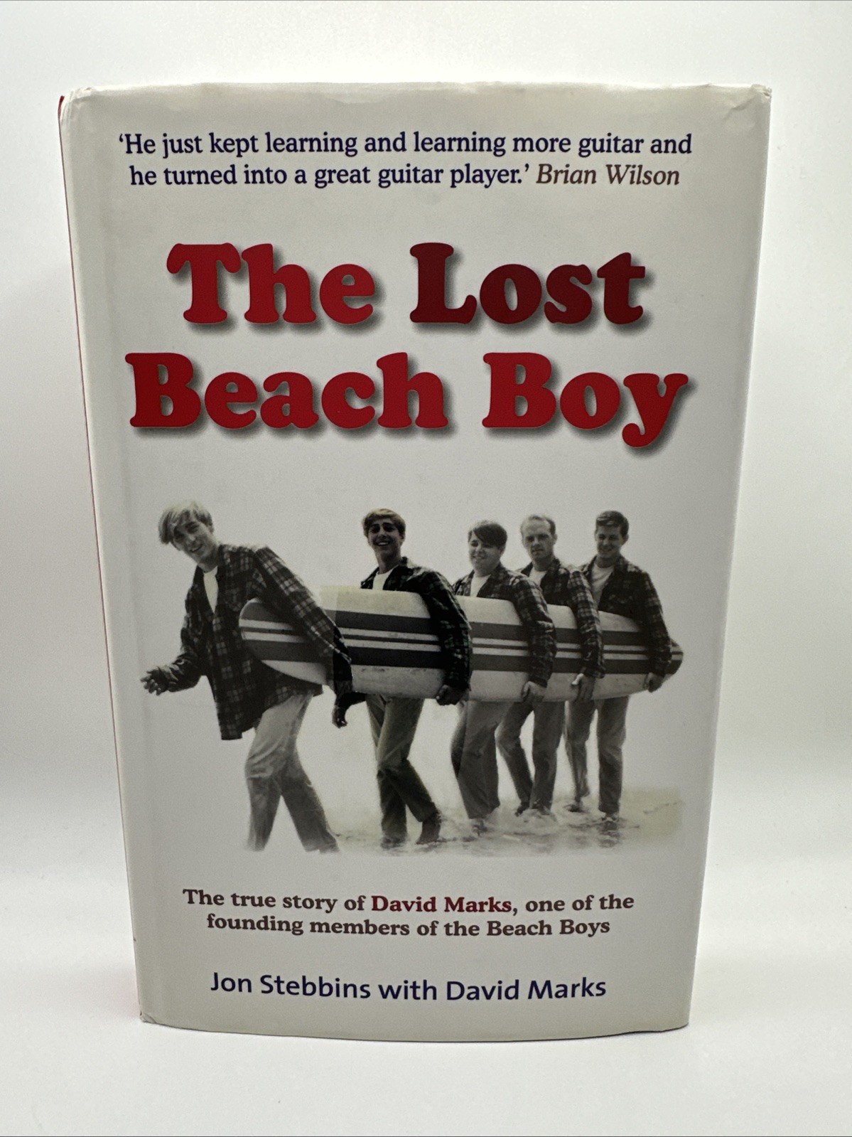 The Lost Beach Boy : The True Story of Beach Boy David Marks… by Stebbins 2007