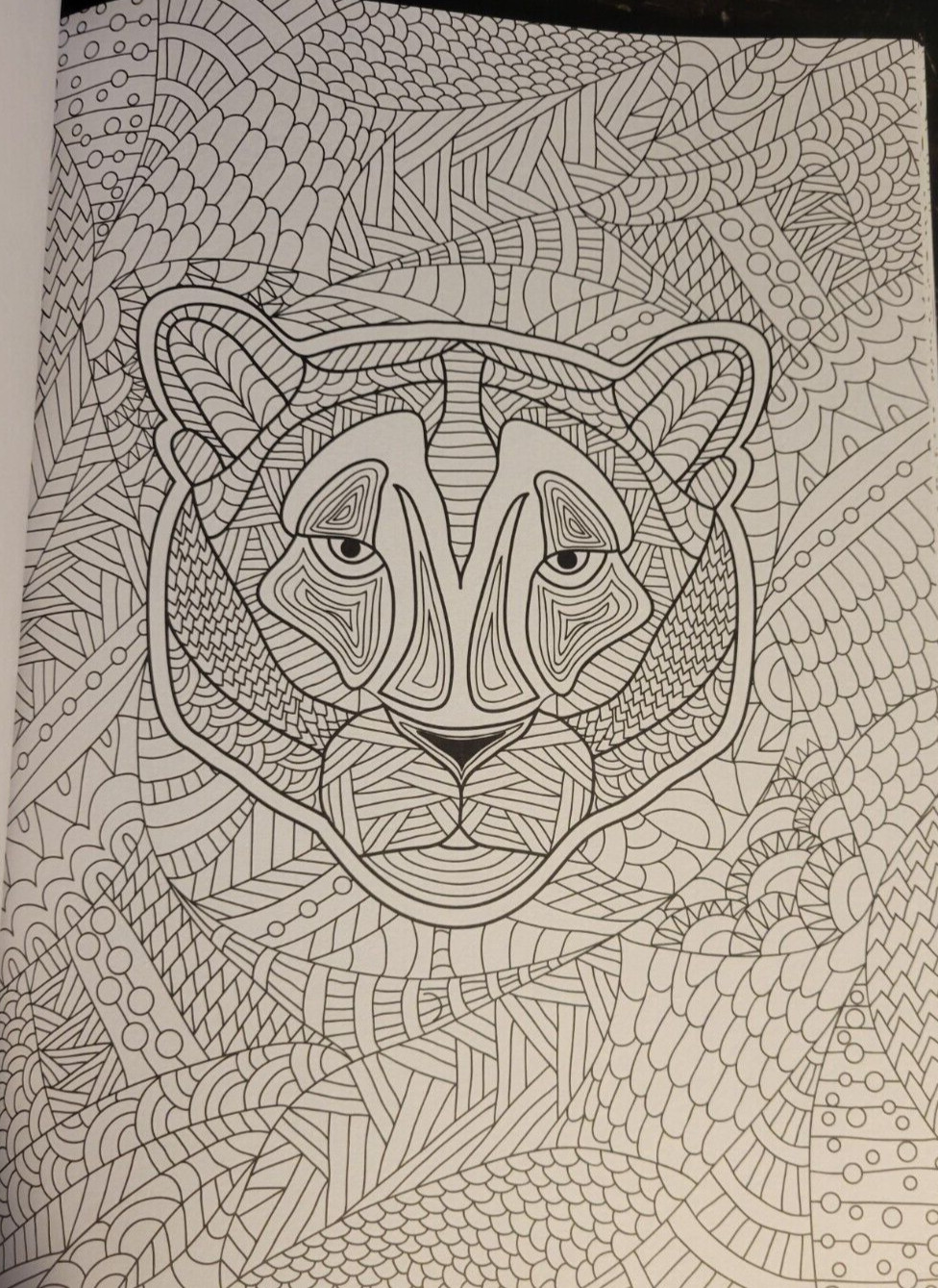 MAGNIFICENT CREATURES Vol 19 – Adult Coloring Book by TOPIX MEDIA – 47 PRINTS