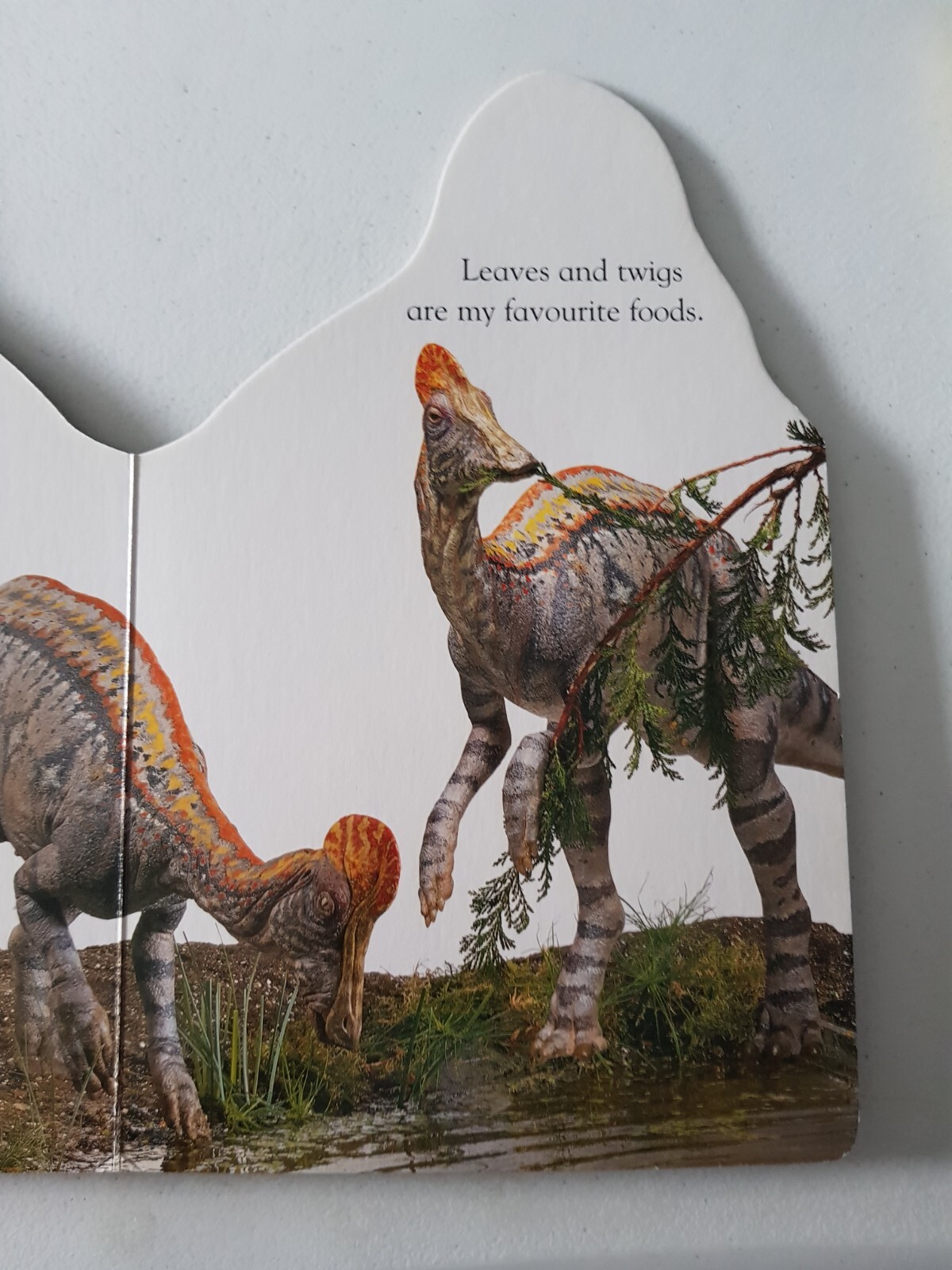 DK Board Book – Corythosaurus 2000 Nicola Deschamps Dinosaur