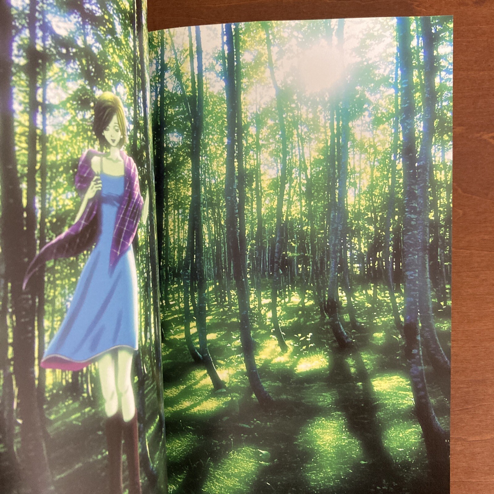 NANA 1st ILLUSTRATIONS Ai Yazawa Art Book