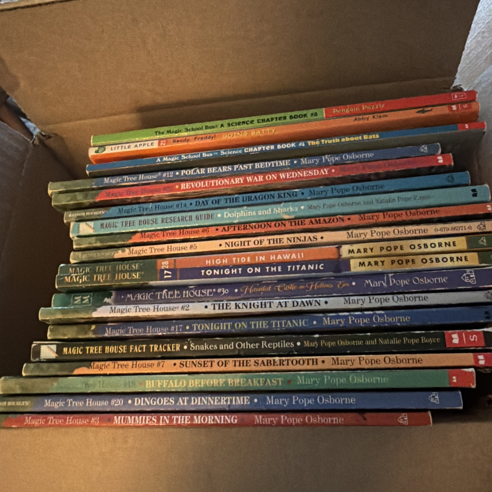 Magic Tree House Books Mary Pope Osborne & Magic School Bus 19 PB Books Reading