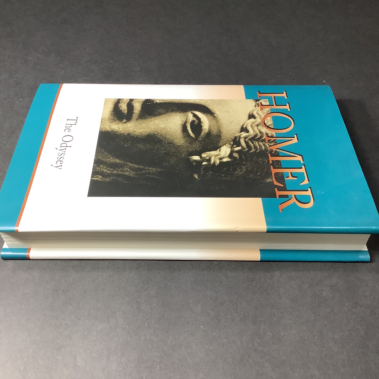 Homer The Odyssey Meijer Family Classic Hard Bound 267 Pages DJ