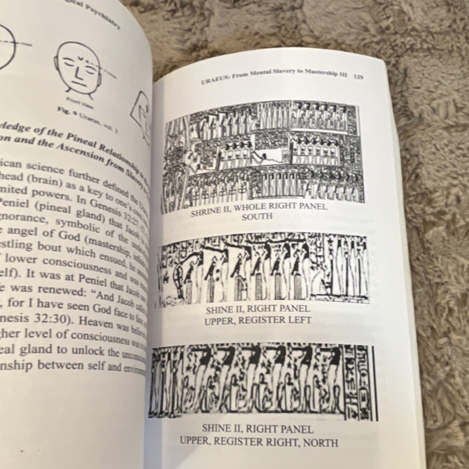 Afrikan World Books African Origin of Biological Psychiatry by Richard D. King,…
