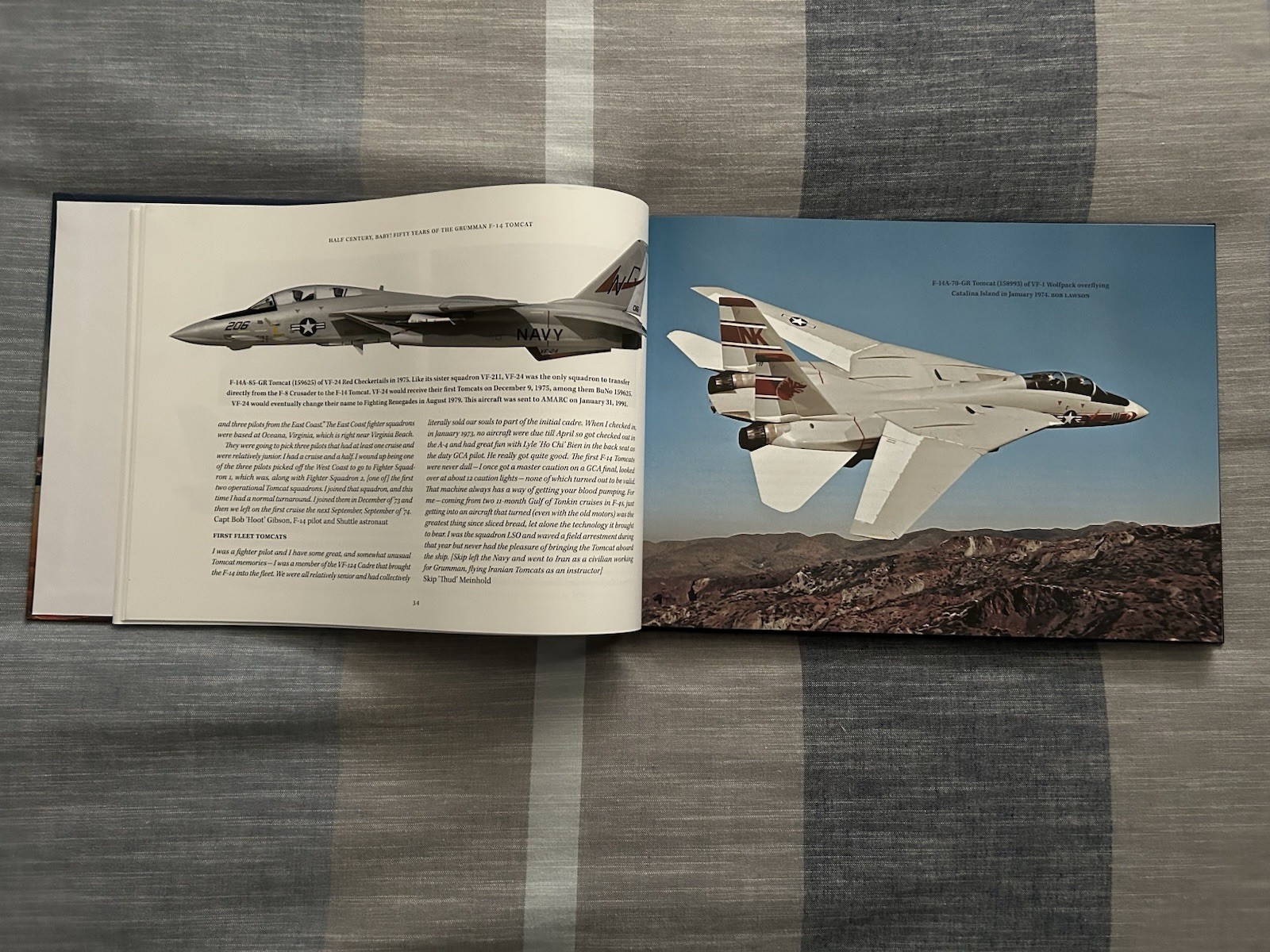Half Century, Baby Fifty Years Of The Grumman F-14 Tomcat Parsons Bangso