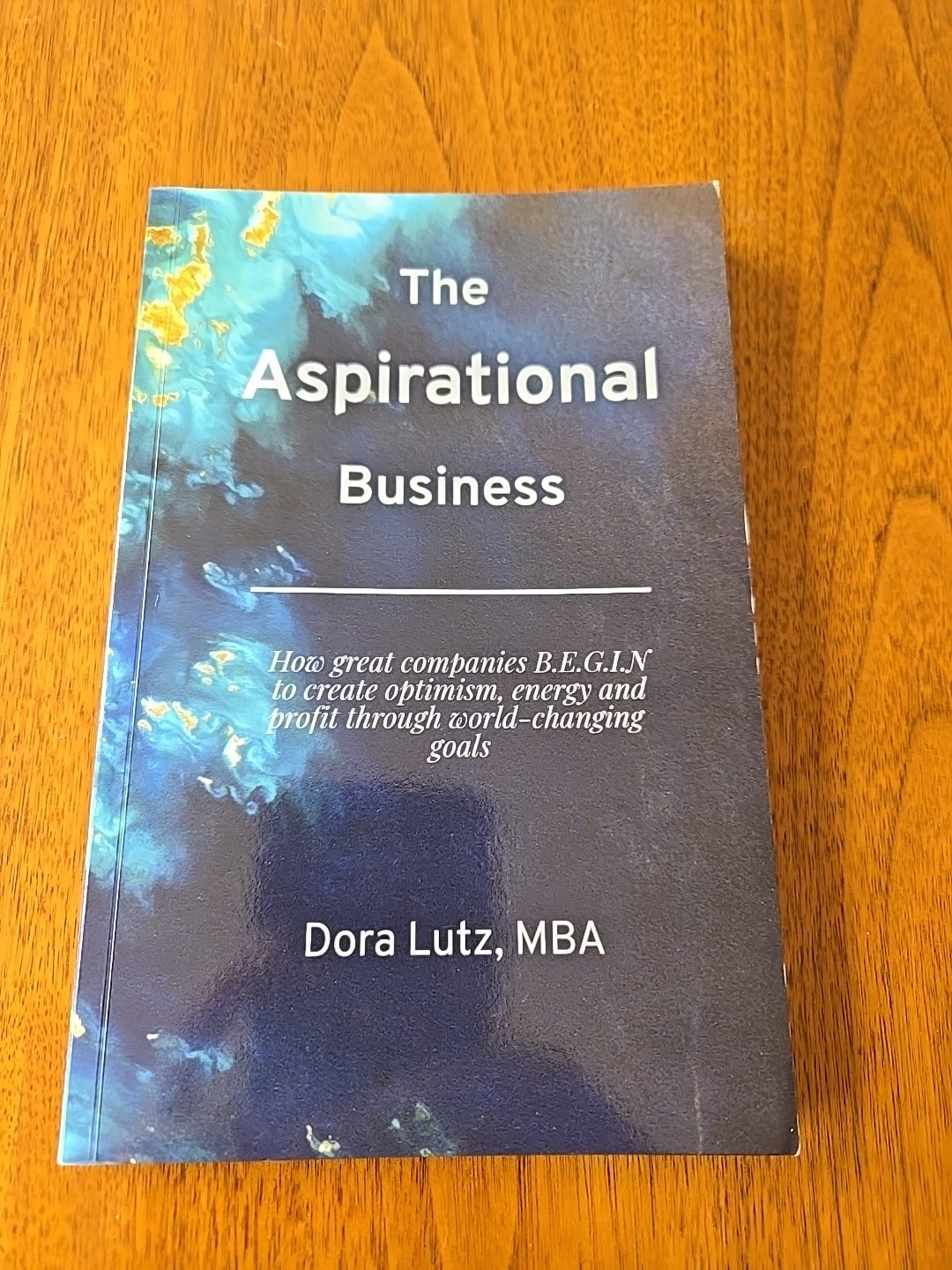 The Aspirational Business: How great companies B.E.G.I.N. to create optimism…