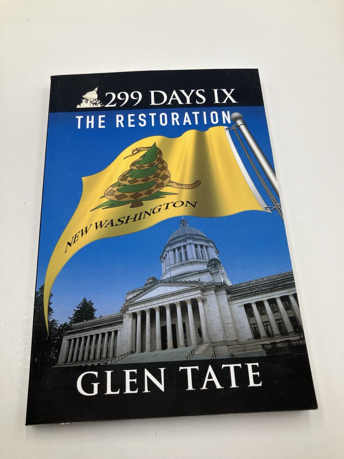 Lot of 10 Glen Tate 299 Days Series Paperbacks Prepper Thrillers Government