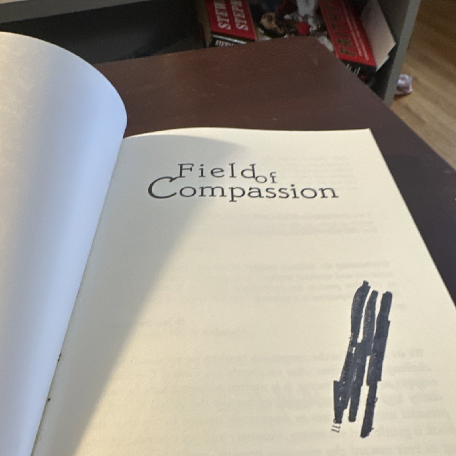 AVE Maria Press Field of Compassion Judy Cannato Paperback Spirituality