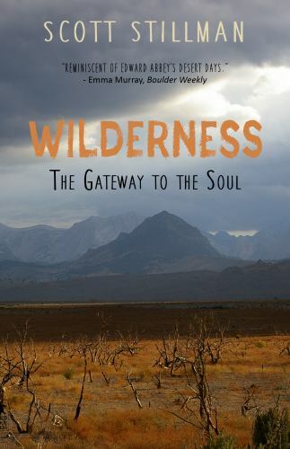 Wilderness, The Gateway To The Soul: S- paperback, Scott Stillman, 9781732352209