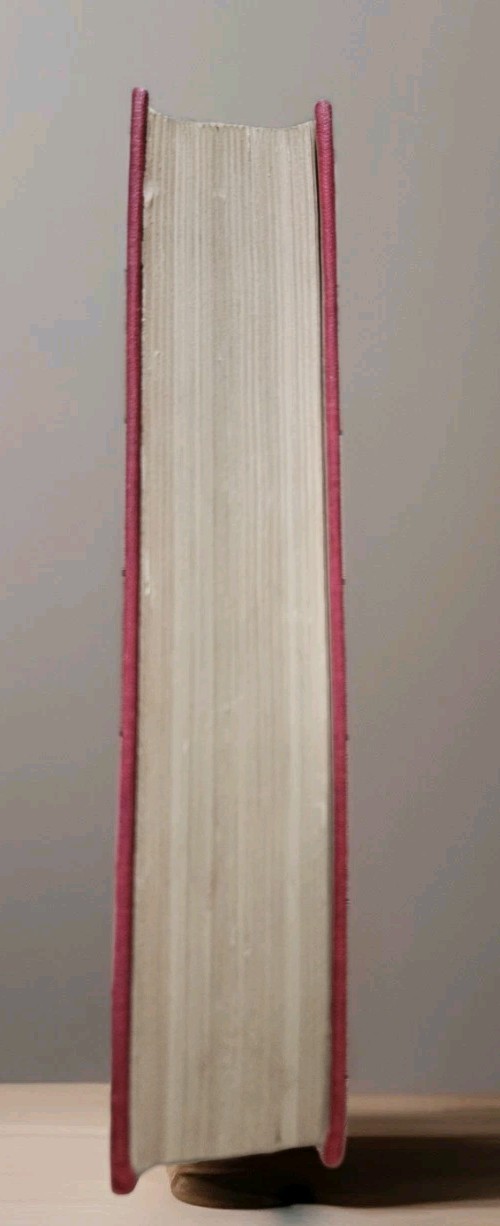 1904. Rare. The Mystery of Orcival by Emile Gaboriau | Illustrated Jules Guerin