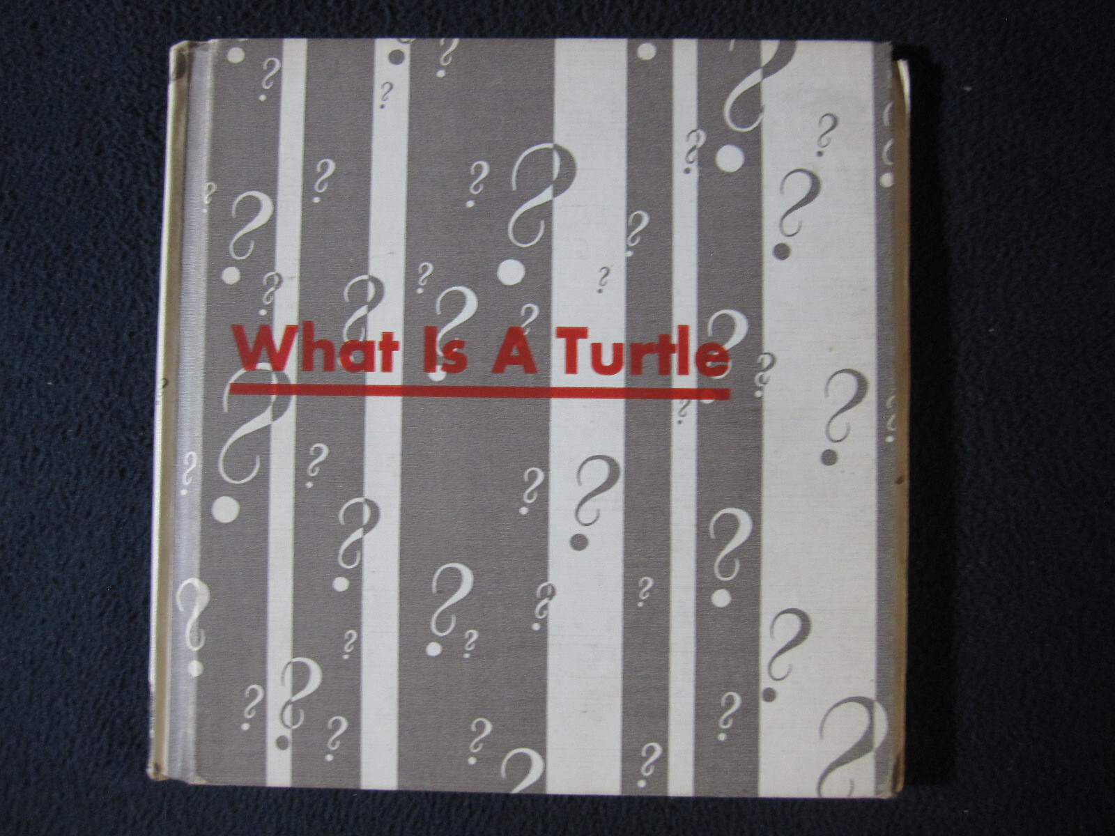 What is a Turtle [Hardcover] Gene Darby and Lucy and John Hawkinson