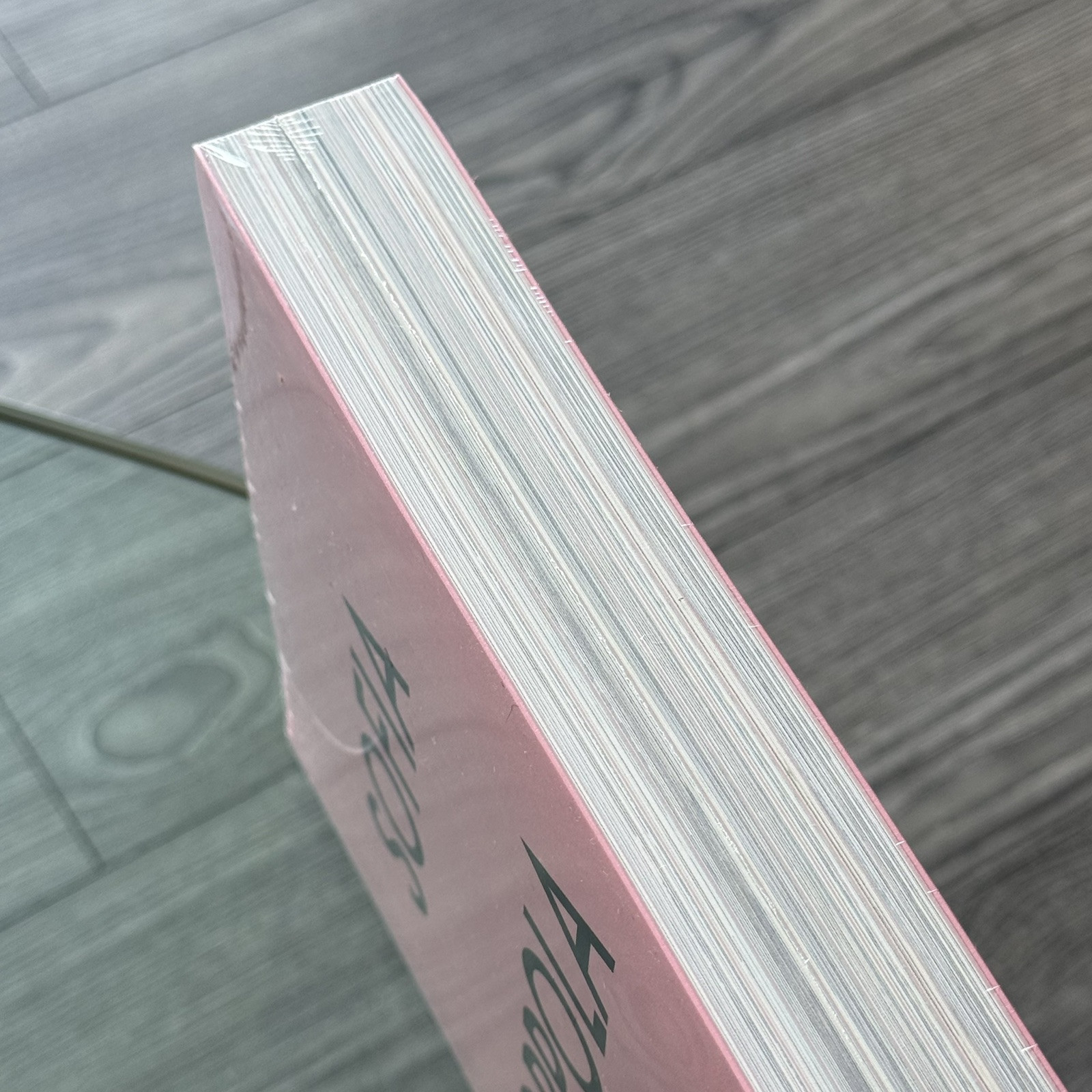 [NEW] Sofia Coppola Archive Book 1999-2023