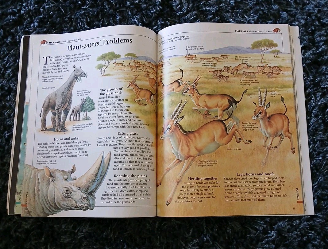 Prehistoric World – USBORNE WORLD HISTORY Vtg 2000