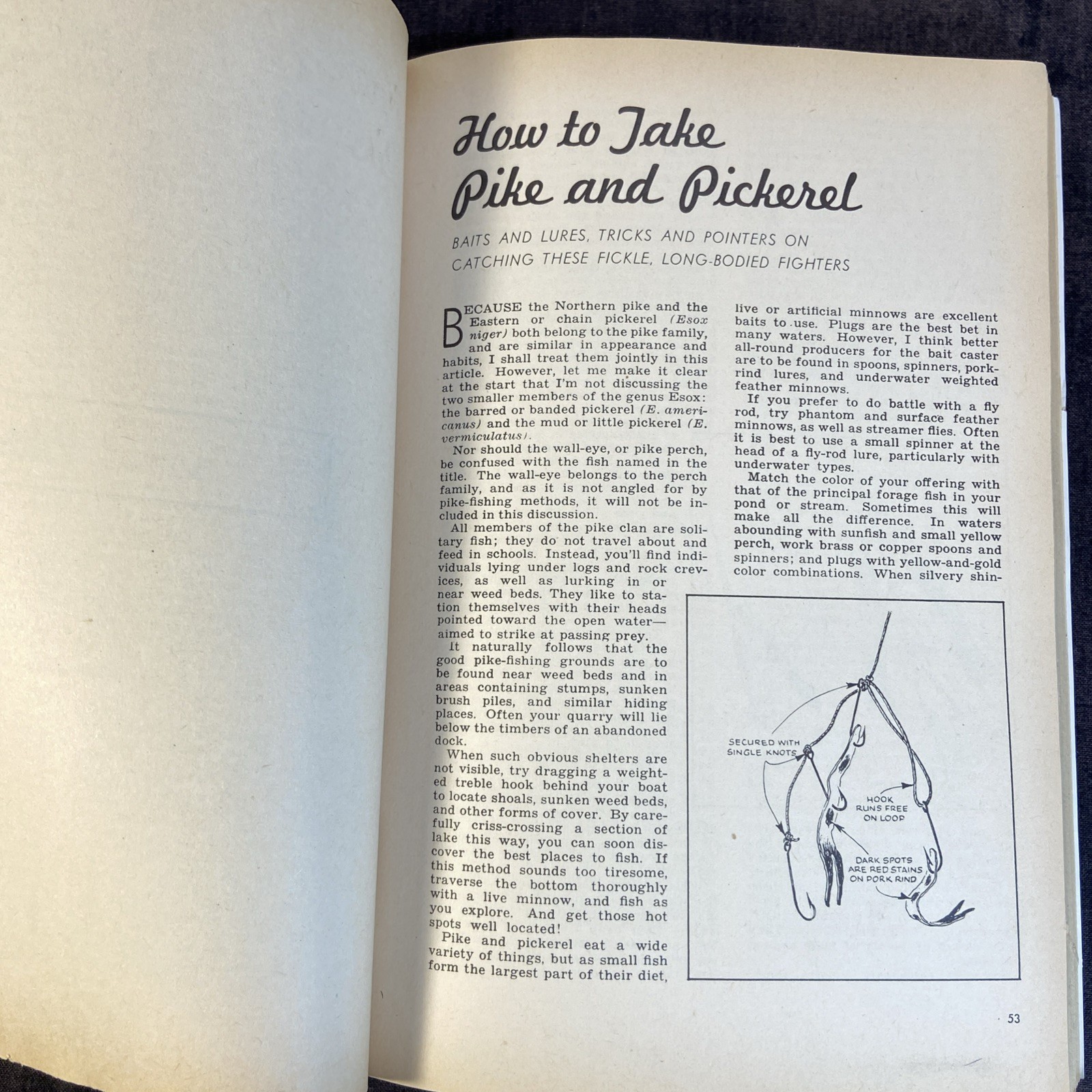 Outdoor Life -Complete Guide To Fresh Water Fishing-1952 First Edition-250 Pages