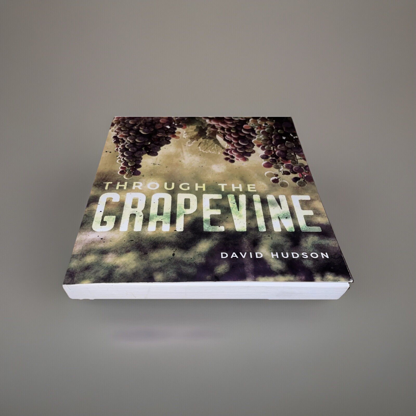 Through The Grapevine Novel David Hudson 2018 Palmetto Publishing *SIGNED*