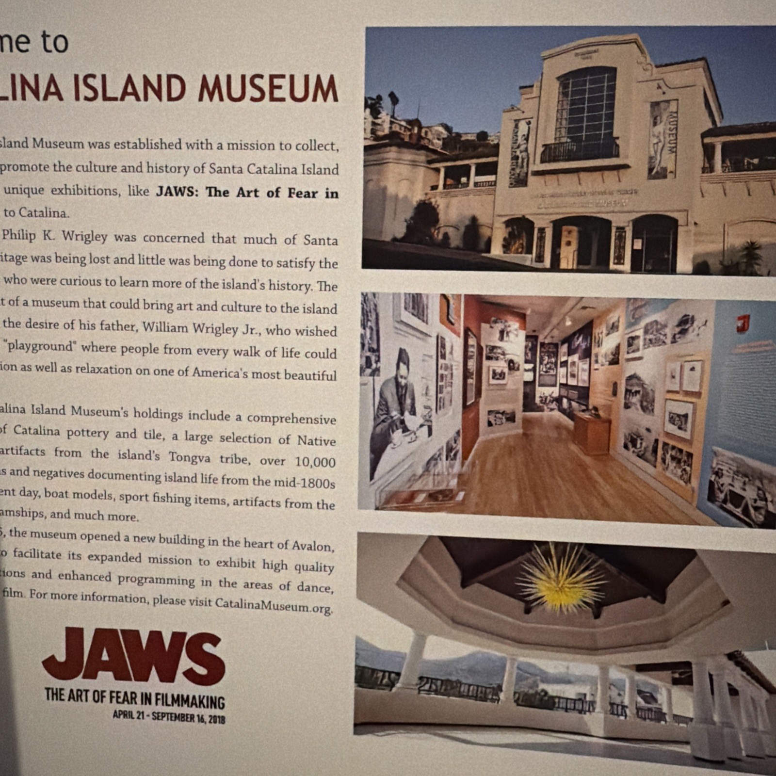 Designing Jaws Sketch Book SHARK By Joe Alves CATALINA 1st ED Steven Spielberg