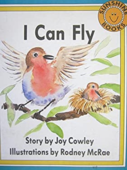 Sunshine Books Level 1 A I Can Fly Joy Cowley