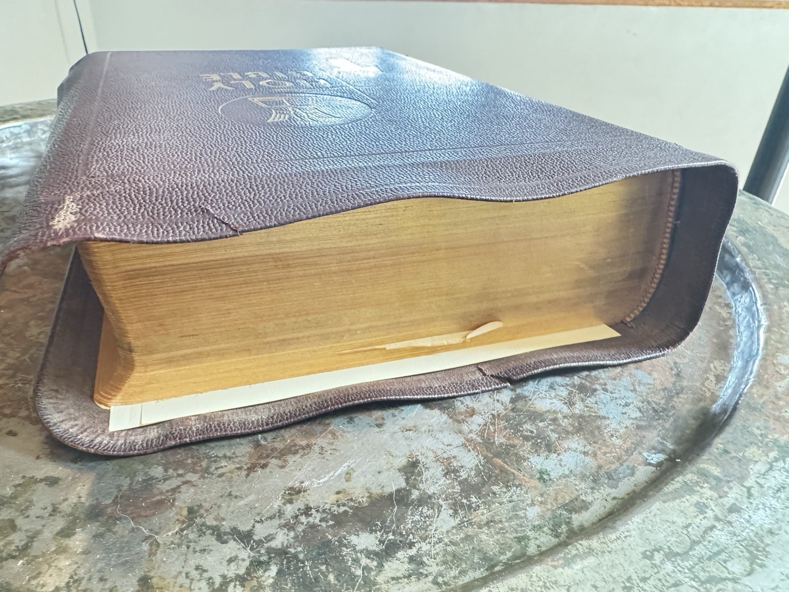 The Holy Bible The Catholic Press Holy Family Edition 1950